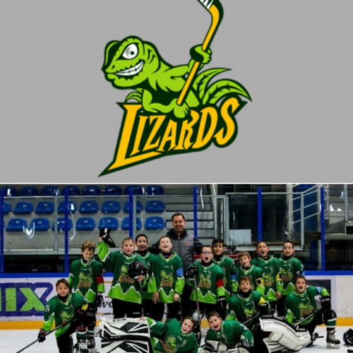 Lizards U10